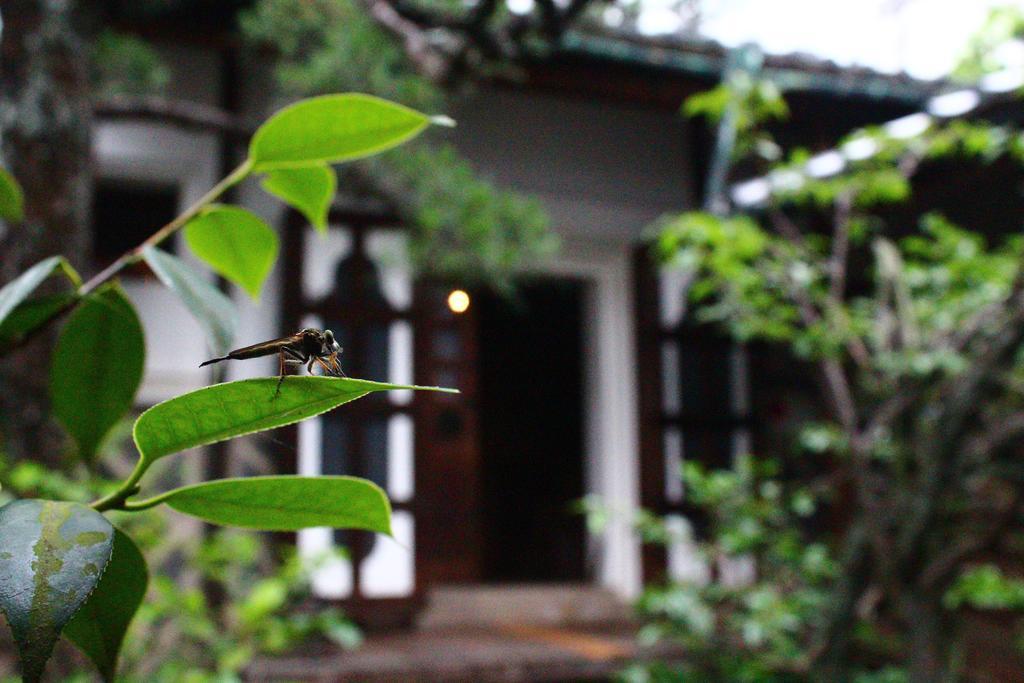 Naramachi Hostel & Restaurant Bagian luar foto